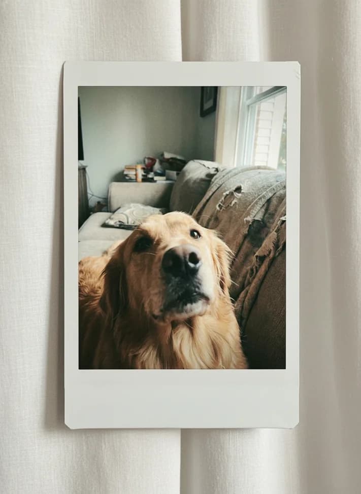 Foto Polaroid com IA